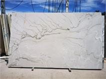 Coastal White